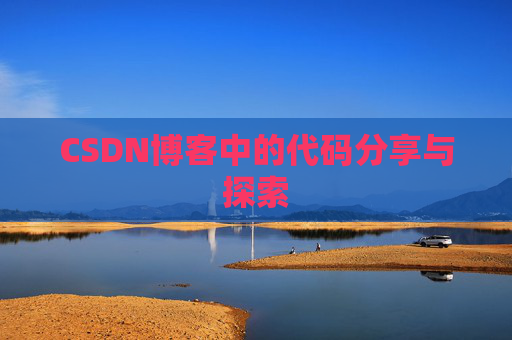 CSDN博客中的代码分享与探索